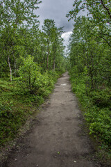Fototapeta na wymiar Landscape of Abisko National Park, Sweden