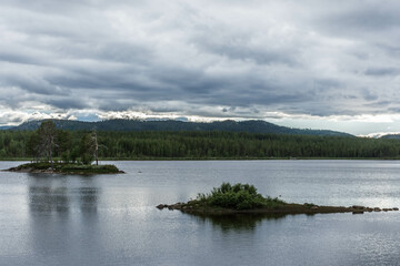 Fototapeta na wymiar Forest and landscape in Lapland, Sweden
