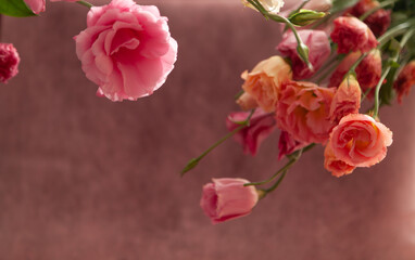 Pink and cream eustoma flowers on faded pink background
