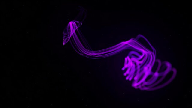 Bright Purple neon glowing fast moving streams of light, along a trajectory. Fast energy flying wave line with flash lights. Animation magic swirl trace path on black background.