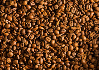 natural coffee beans warm light