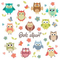 Fotobehang Owls vector graphics © Kristinat