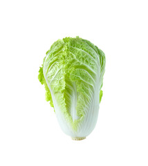 Fresh  Chinese cabbage isolated on  transparent png
