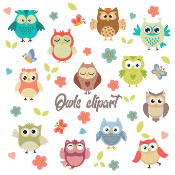 Owls vector graphics