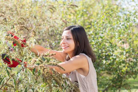 Woman pruning tree in garden