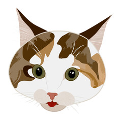 Orange cat sticking out tongue with green eyes on light background