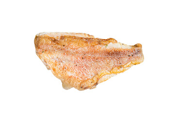 Grilled sea red perch fillet, Snapper fish. transparent background