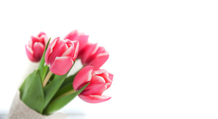 Beautiful bouquet of tulips over white background.