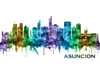Fototapeta premium Asuncion Paraguay Skyline