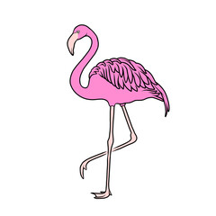flamingo vector