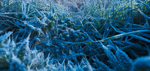  ghiaccio naturale in micro paesaggi