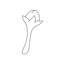 Vector isolated one single carnation clove seasoning colorless black and white contour line easy drawing