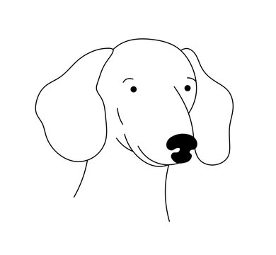 Vector isolated cute cartoon dog portrait dachshund  colorless black and white contour line easy drawing
