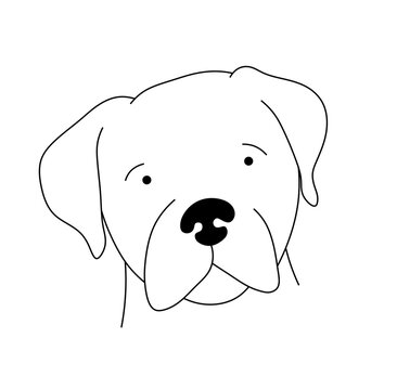 Vector isolated cute cartoon dog portrait rottweiler  colorless black and white contour line easy drawing