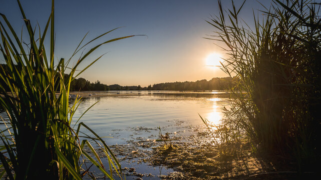 coucher de soleil sur un lac en été