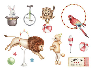 Watercolor collection of circus animals and props. Hand drawn illustration in retro style. Cute lion, ring of fire, cheetah, poodle, macaw, rabbit in a wizard's hat. Design template elements. © Victoria Pak