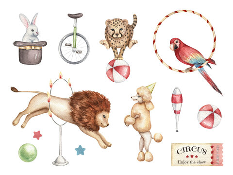 Watercolor collection of circus animals and props. Hand drawn illustration in retro style. Cute lion, ring of fire, cheetah, poodle, macaw, rabbit in a wizard's hat. Design template elements.
