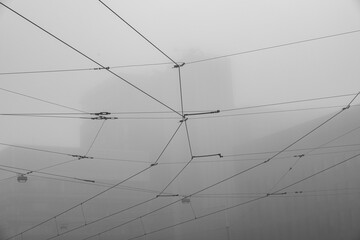 foggy cables