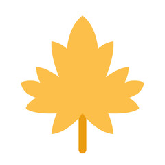 maple leaf flat design icon