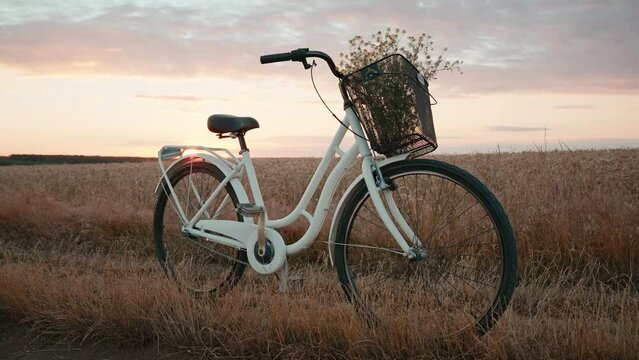 Bicycle white retro style stands in field of wheat with bouquet of daisies in basket for walk in nature close-up at an orange sunset in summer slide slow motion. Relax. Go Everywhere. Travel 