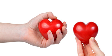 	
Red heart in woman hands isolated on transparent background, PNG.	
