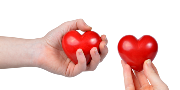 	
Red heart in woman hands isolated on transparent background, PNG.	
