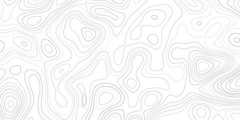 Vector topographic map background. Business concept. Grid map. Contour. Vector illustration.