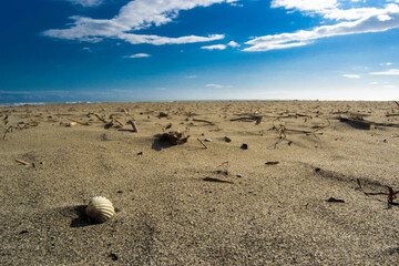 piccole tracce in un grande mondo