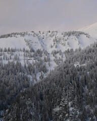 snow covered mountains in portrait mobile phone format, snowy forest in switzerland, cold temperatures,