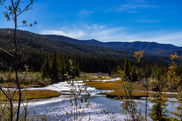 Alymer Provincial Recreation Area Clearwater County Alberta Canada