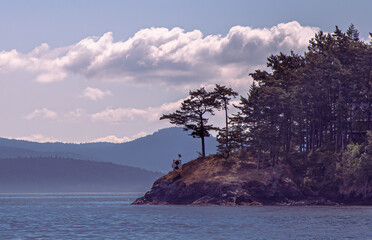 Scenic view of an island point with craggy, wind blown trees in Washington State's San Juan Islands.