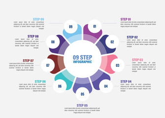 Business infographics. Vector flower chart with 5, 6, 7, 8, 9, 10 steps, options, processes, petals. Vector diagrams.