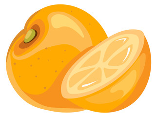 Whole orange and half fruit cut cartoon icon