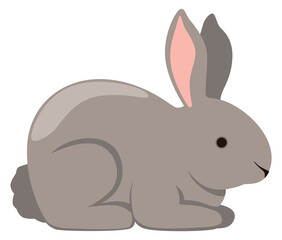 Gray rabbit icon. Cute bunny. Fluffy animal