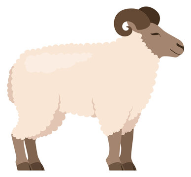 Ram icon. Cartoon farm animal. Funny sheep