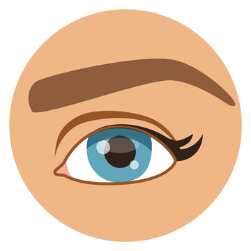 Female eye. Human vision round icon. Anatomy symbol