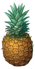 Pineapple icon. Hand drawn color exotic fruit