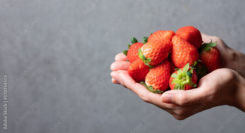 Wall mural fresh strawberries in hand