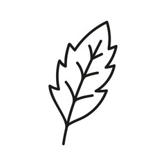Hand drawn leaves clipart. Line doodle vector illustration