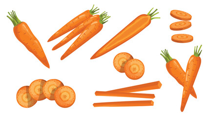 Colorful half, slice and whole of carrot set. Fresh cartoon vegetables. Best for magazine, book, poster, card, menu designs. Vector illustrations isolated on white.