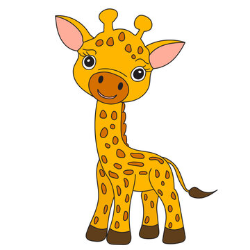 giraffe character on white background isolated, vector