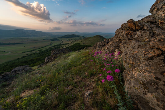 Sunrise in romanian national park mountains munti macin above danube rocks and green meadows with violet flowers