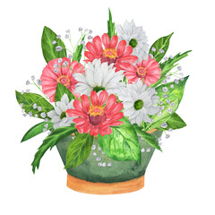 Green clay flowerpot with white chrysanthemum, zinnia, gypsophila. Garden clipart. Hand-drawn watercolor illustration