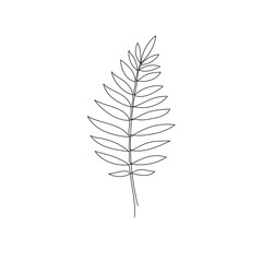 Line bay laurel leaf branch art. One continuous line art decorative bay laurel leaf draw. Editable stroke single branch element. Isolated vector illustration