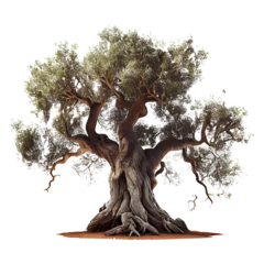 Gardinen strange ancient tree on a transparent background for decorating projects. AI generator © I LOVE PNG