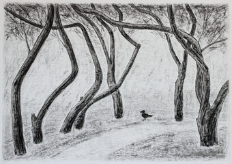 Apple trees with curved long branches. Bird on the path among the trees. Black and white charcoal illustration
