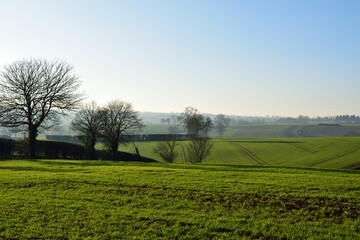 Rolling hills and fields with hedgerows and trees in England