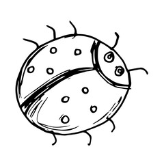Ladybug doodle hand drawn isolated on a white background. Vector illustration sticker, icon, design element