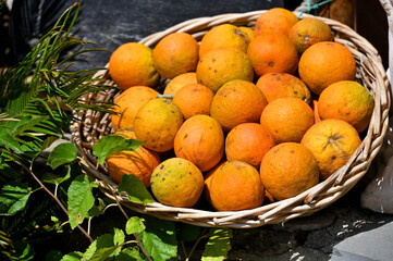 Orange fruits