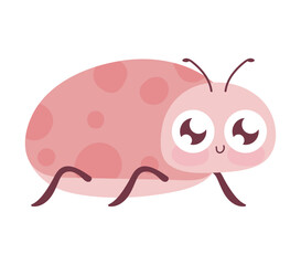 ladybird bug icon